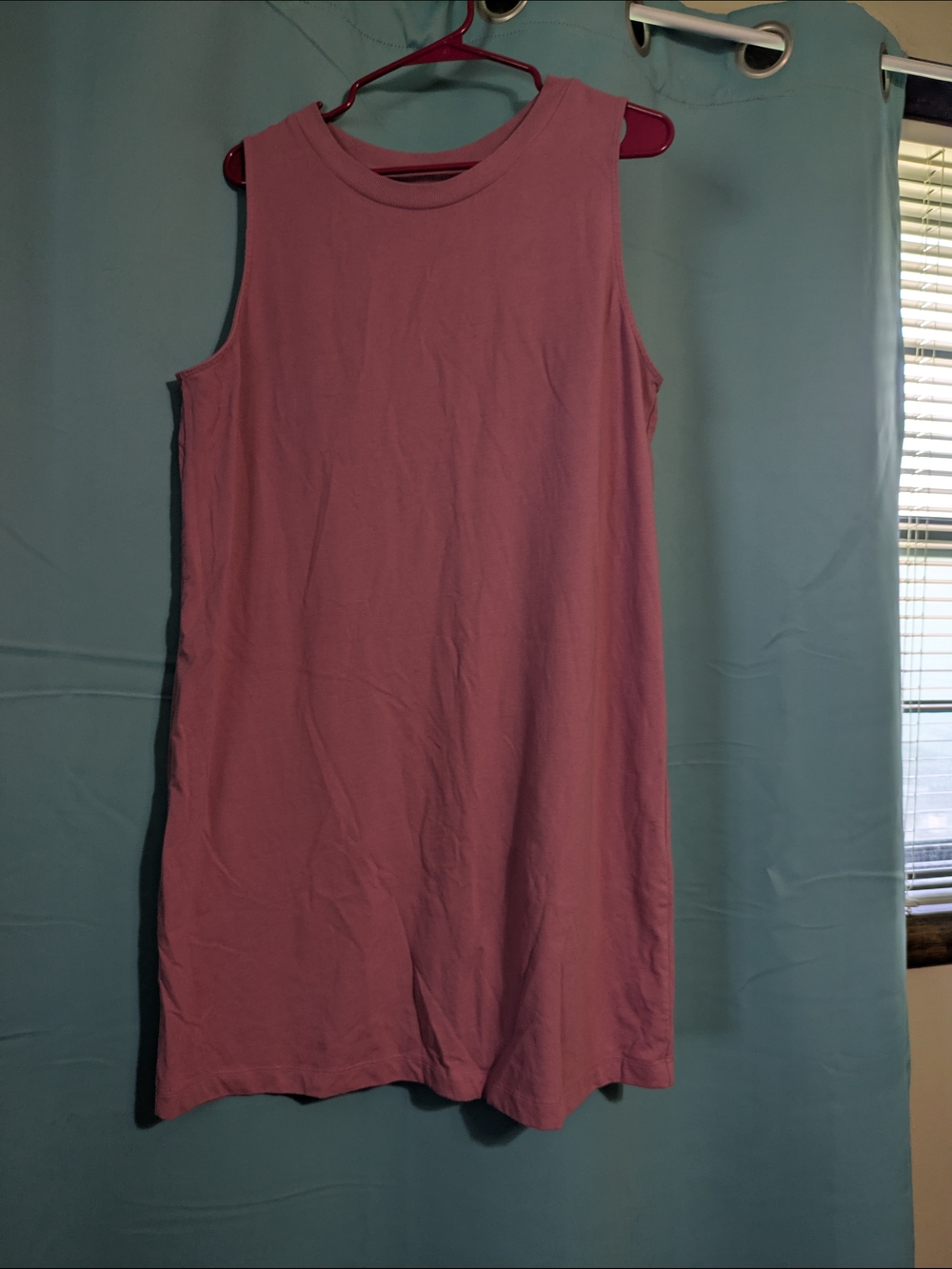 XL Dusty Rose Shift Dress